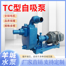 ZB清水自吸泵 高效便捷的供水利器